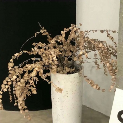 Furry插画氛围营造干货FurryQQ群